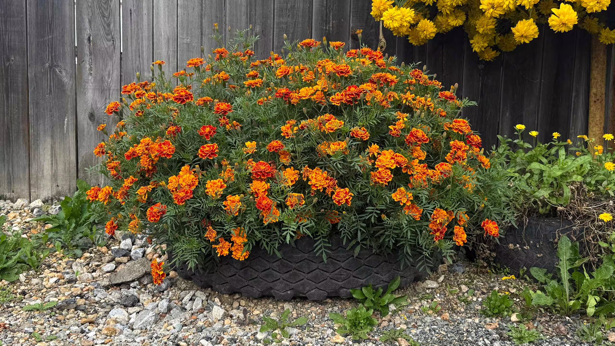 Paisagismo com Materiais Reciclados: cultivando com sustentabilidade e criatividade